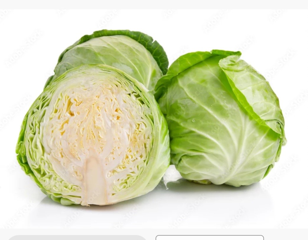 Cabbage