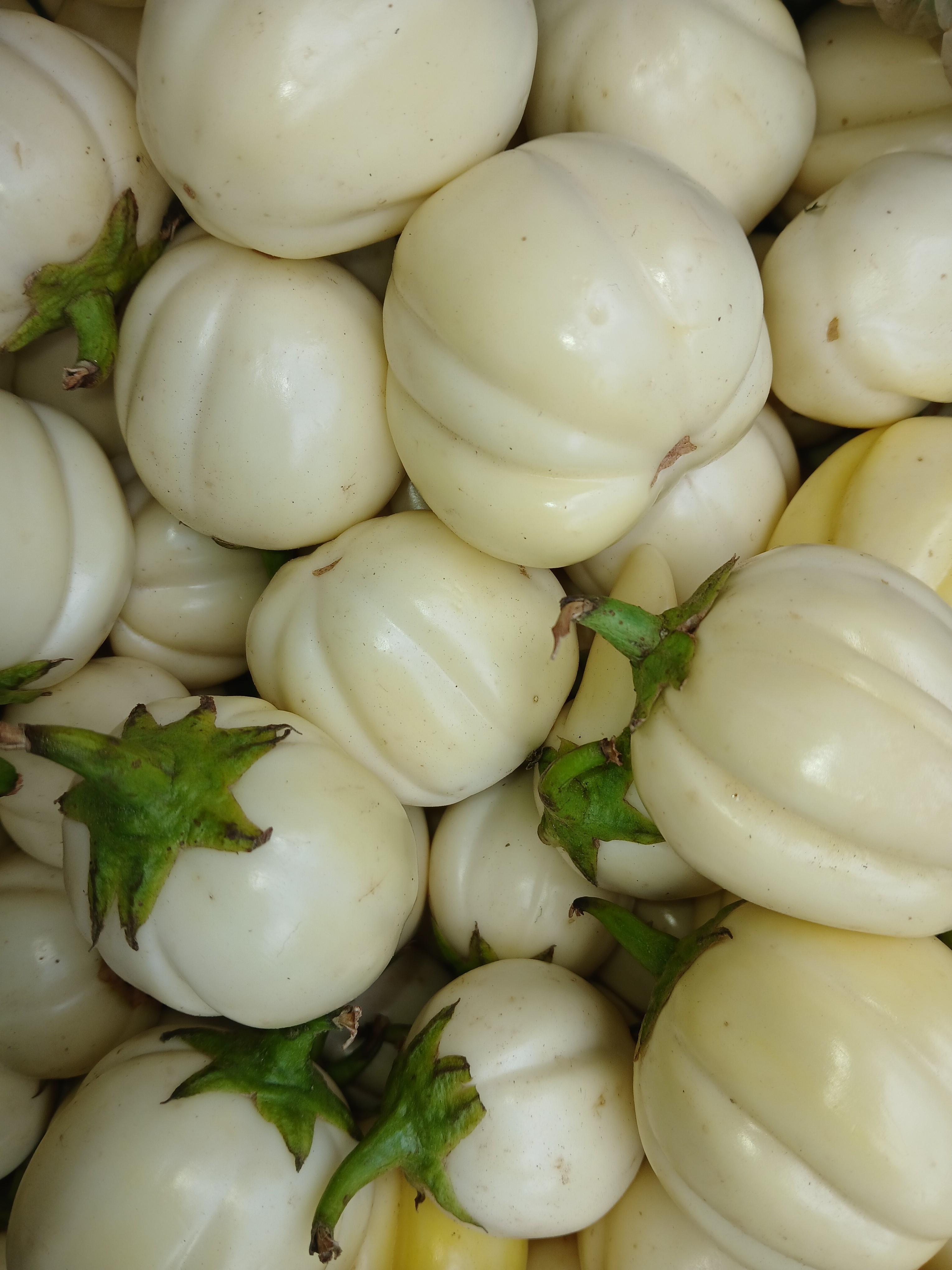 Garden Egg - kg at KSh 200.00