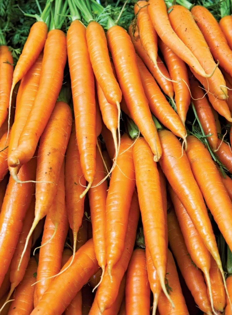 Carrots