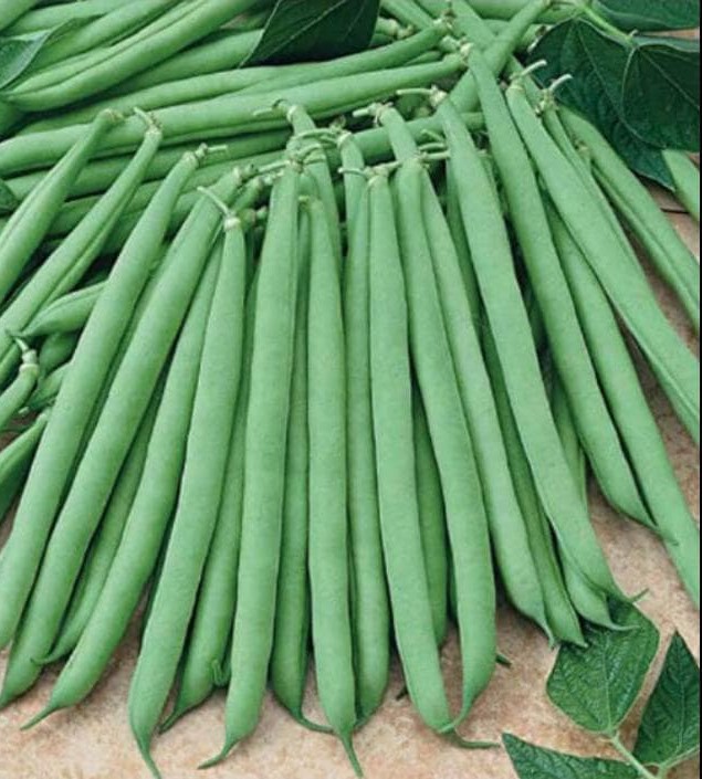 French beans