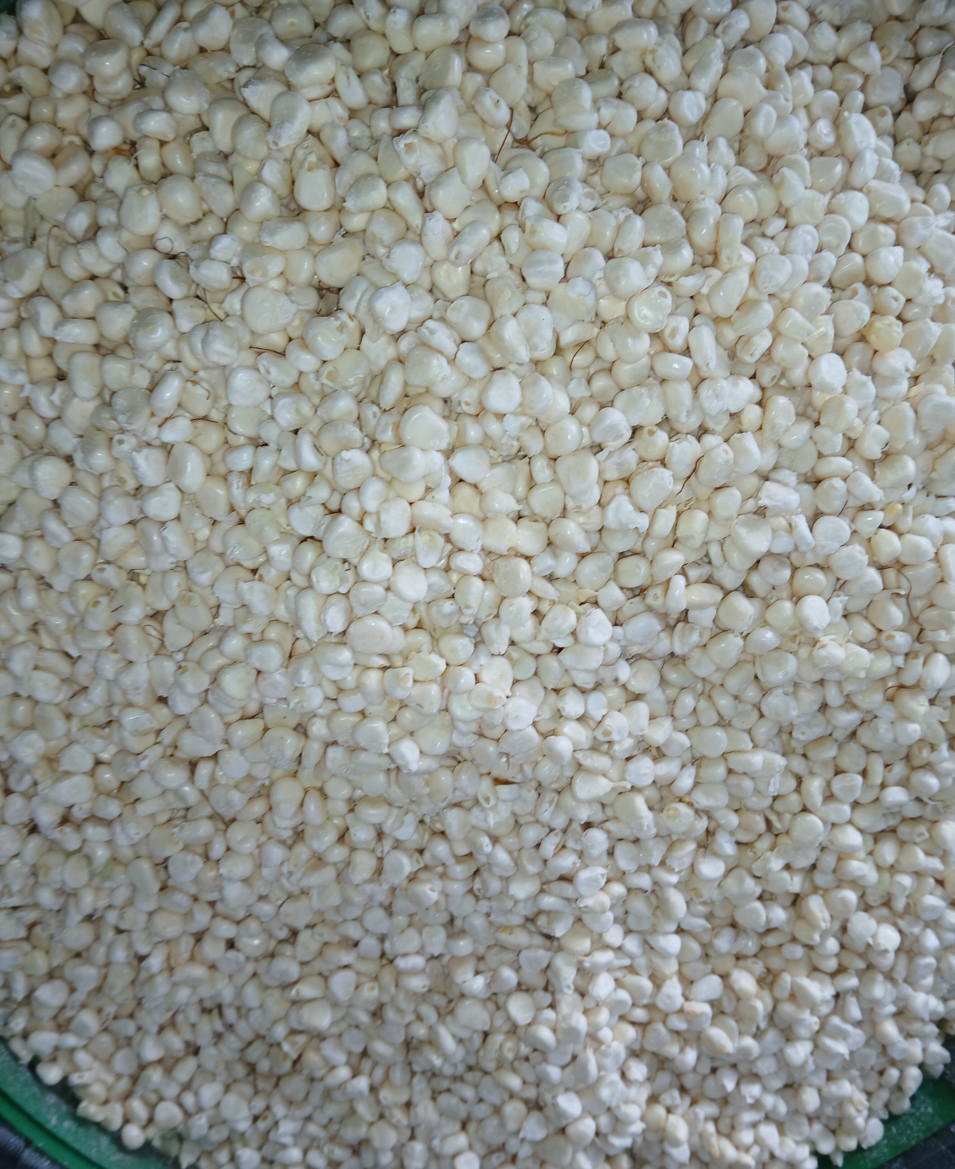 Shelled maize