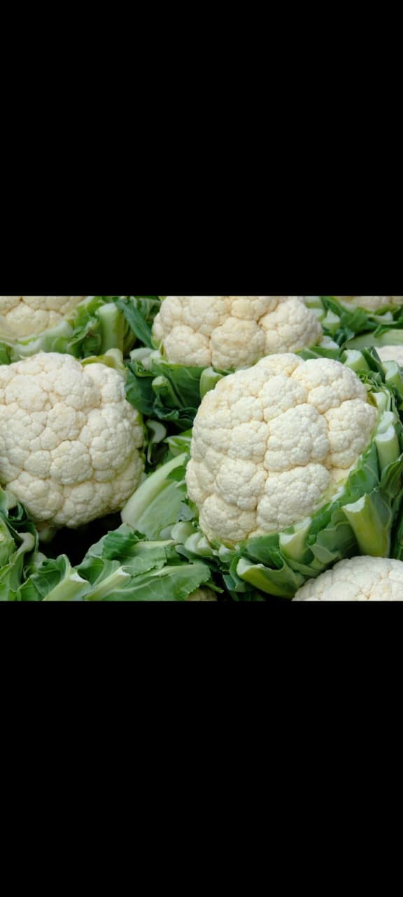 Cauliflower - kg at KSh 150.00