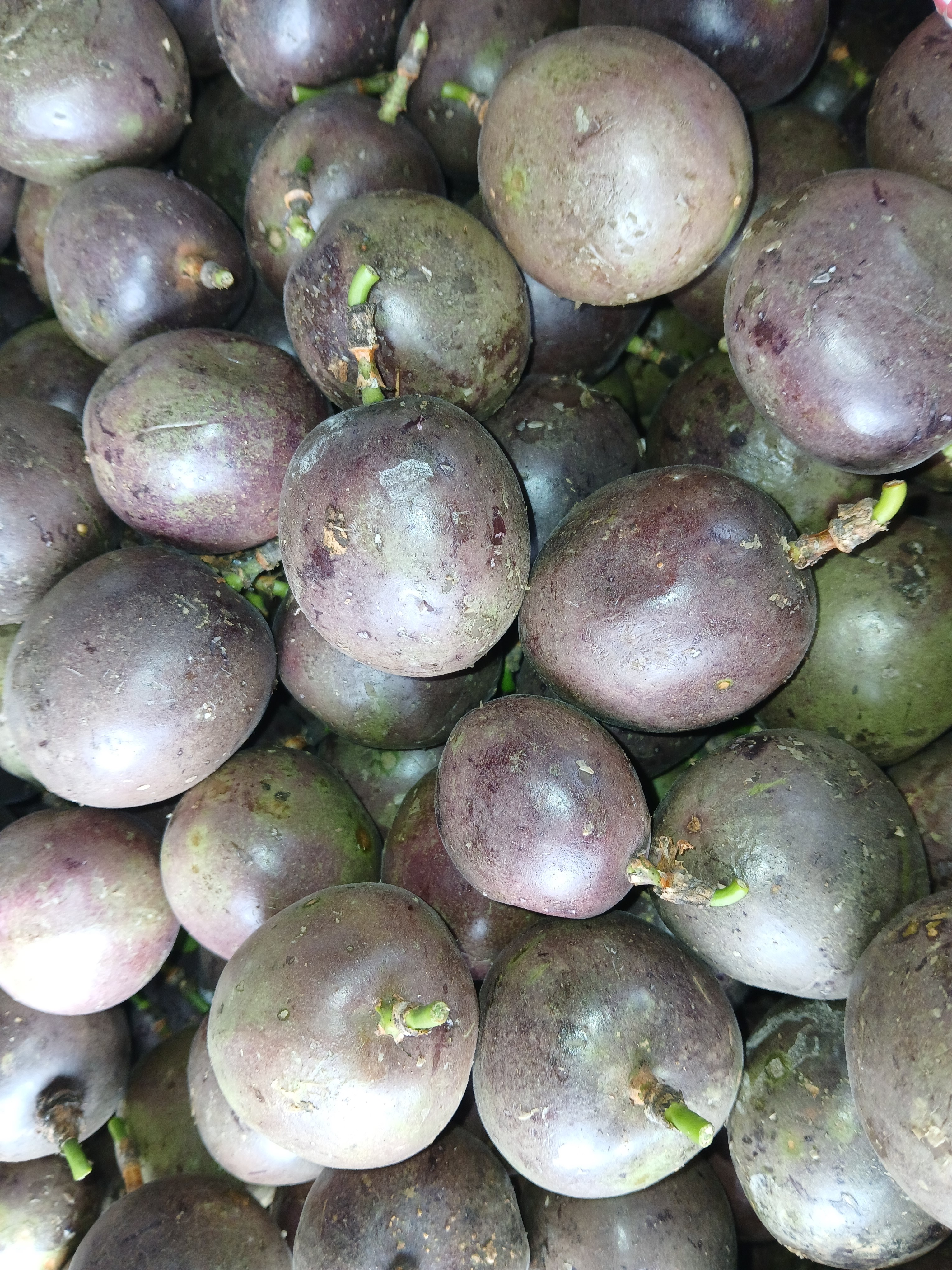 Purple Passion - kg at KSh 350.00