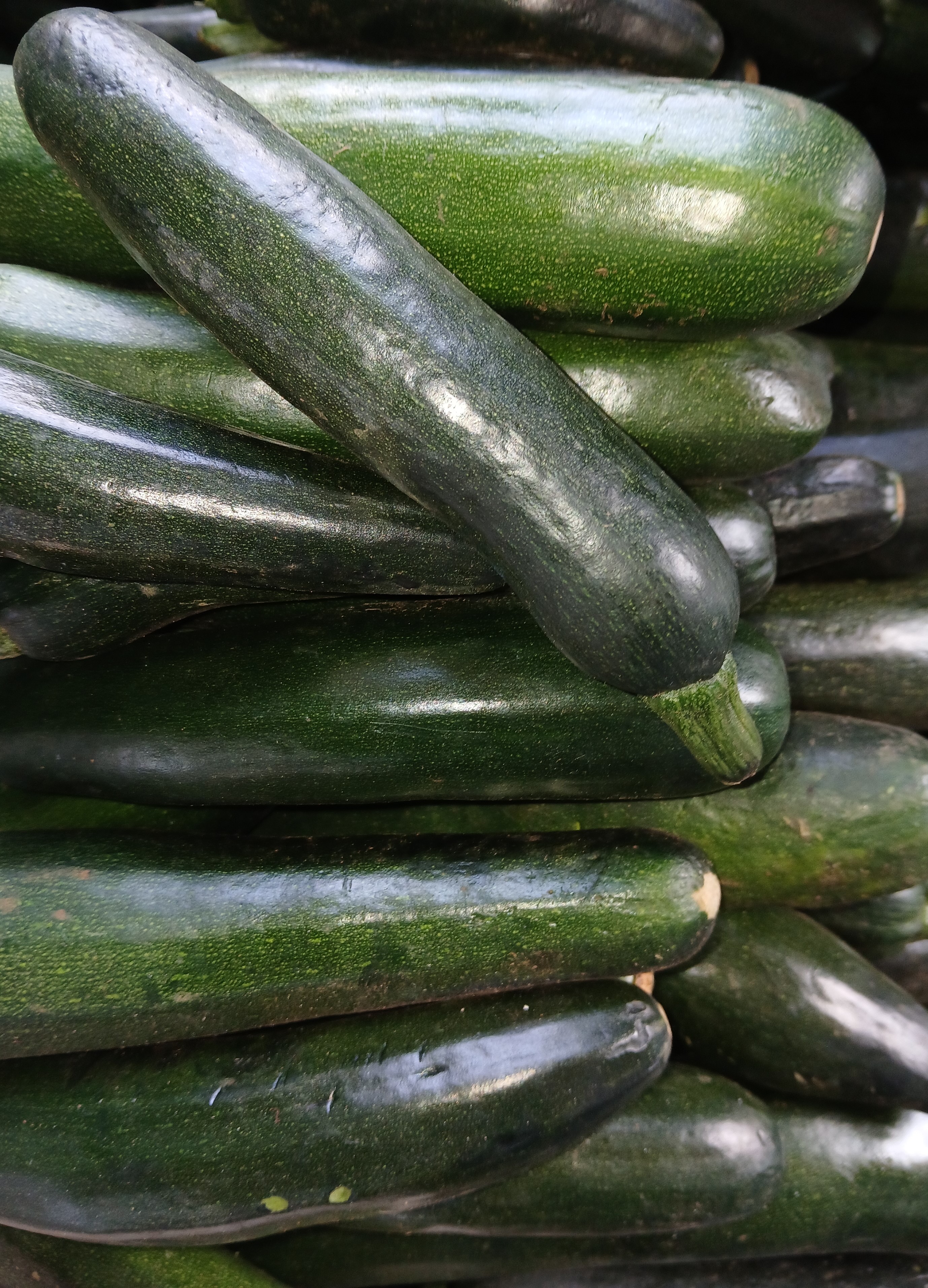 Courgette