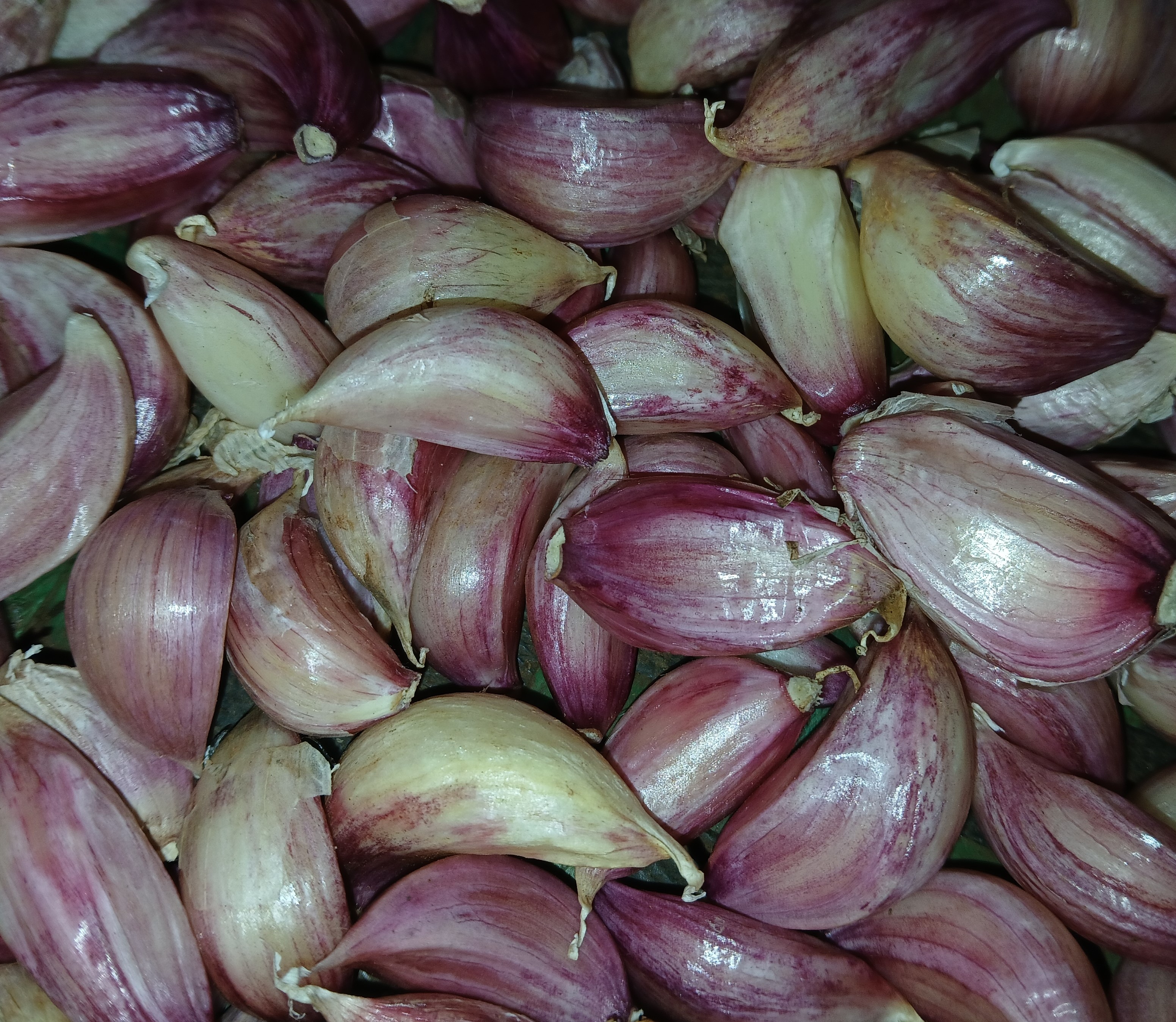 Garlic Cloves - kg at KSh 400.00