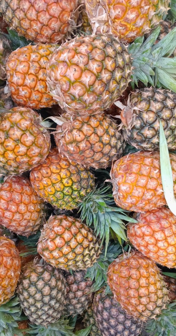 Pineapple
