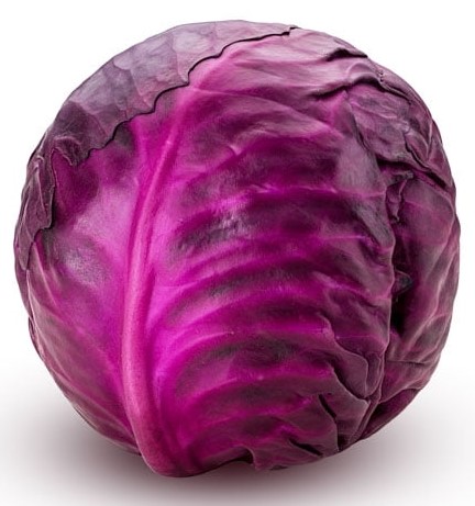 Red cabbage