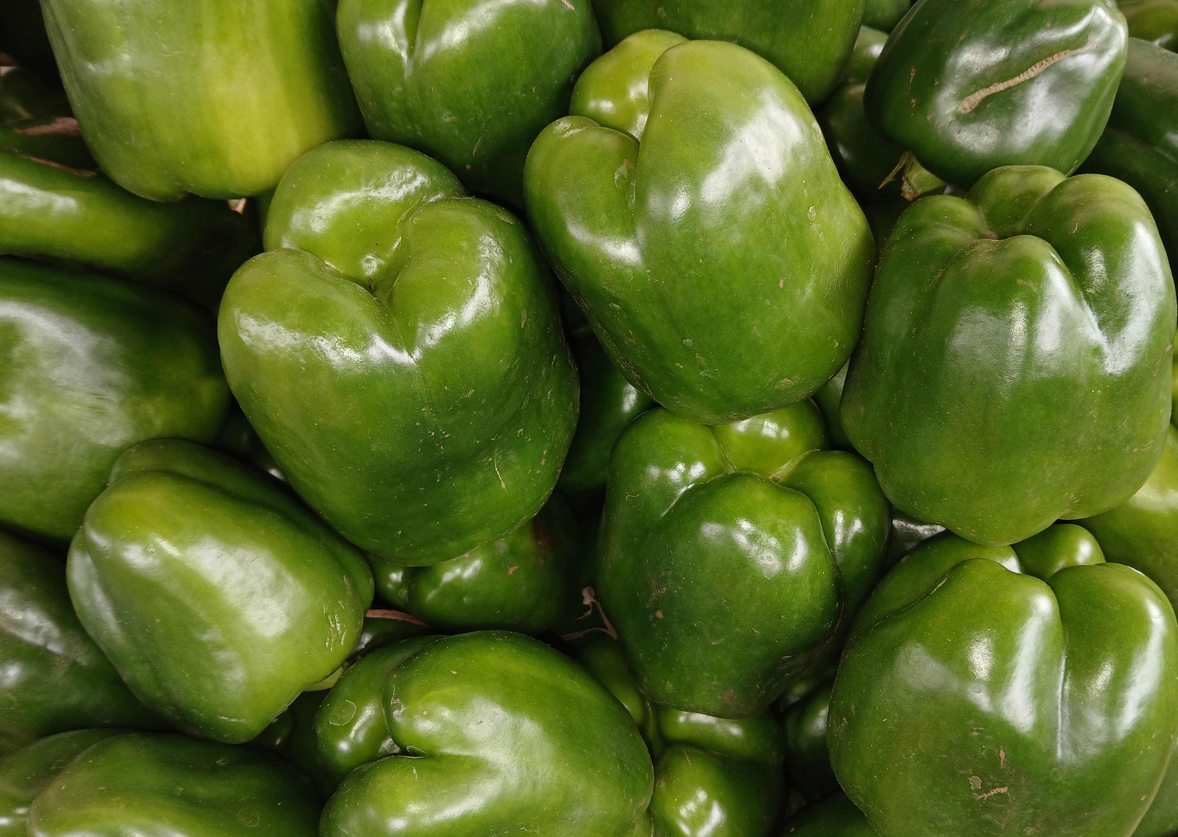 Green capsicum
